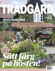 Allt om Trädgård - 6 nr + en vacker kruka med doftljus & servetter